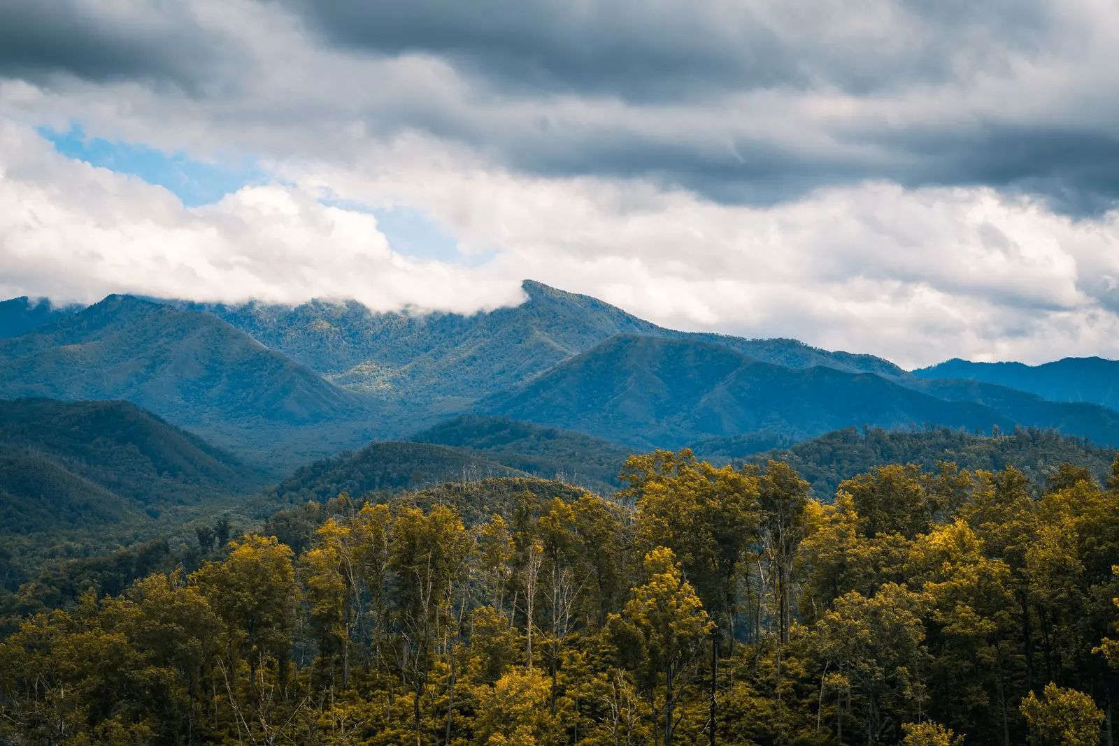 The Smokies from the Tennessee side