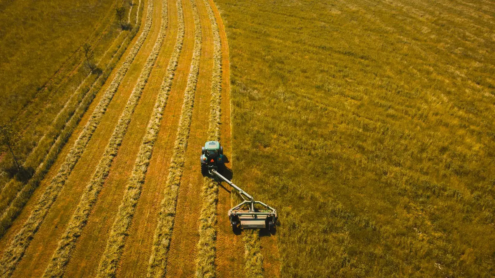 Hay fields in rural Tennessee